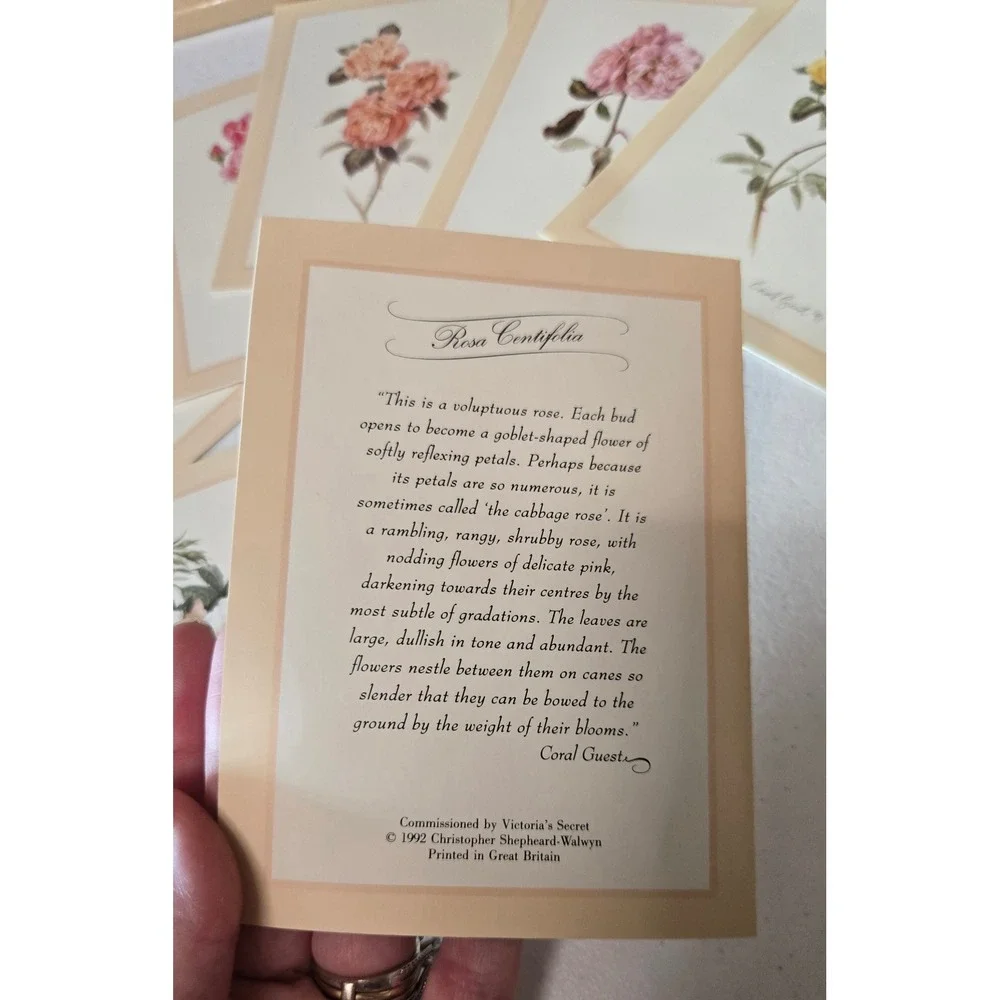 Vintage 1992 Victoria's Secret Royal Roses London Notecard Set Coral Guest 10